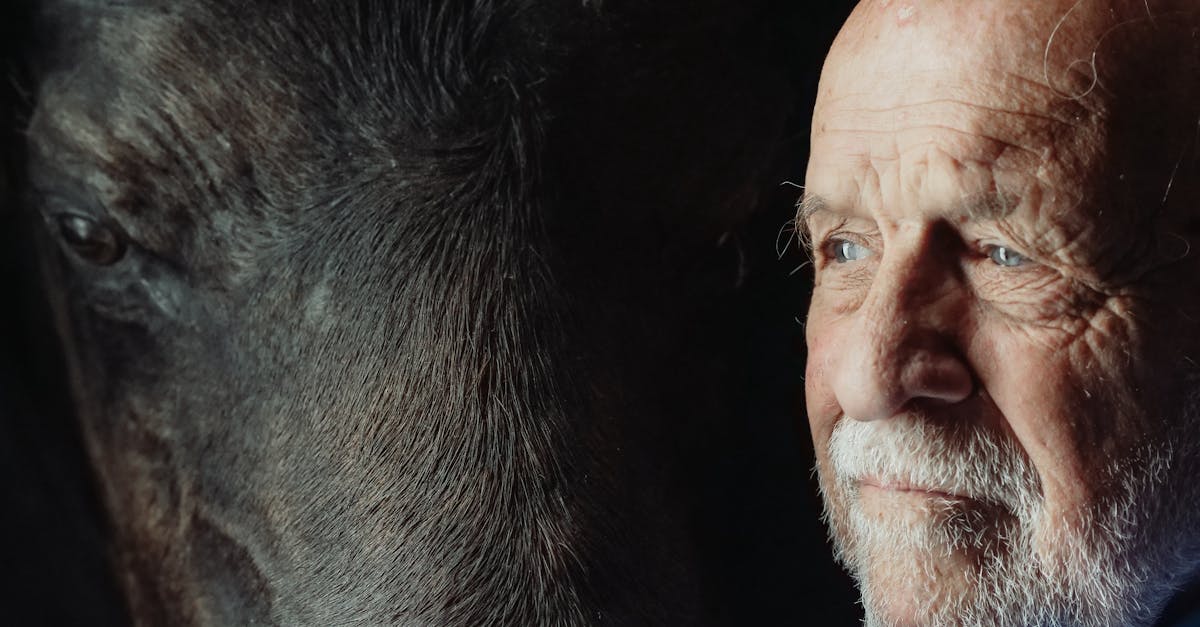 discover the intriguing concept of 'missing'—explore the various interpretations, from the emotional aspects of absence to the philosophical implications of what it means to be incomplete. join us in examining how 'missing' shapes our experiences and perceptions.